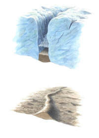 Nr.290