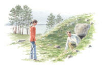 Nr.600