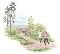 Nr.667