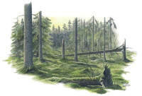 Nr.90